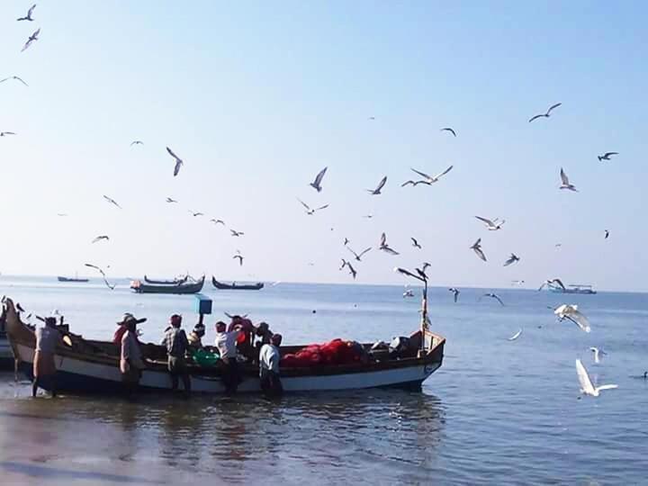 Sea Breeze Beach Home Stay Alappuzha Exterior foto